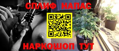 гидра Кумертау