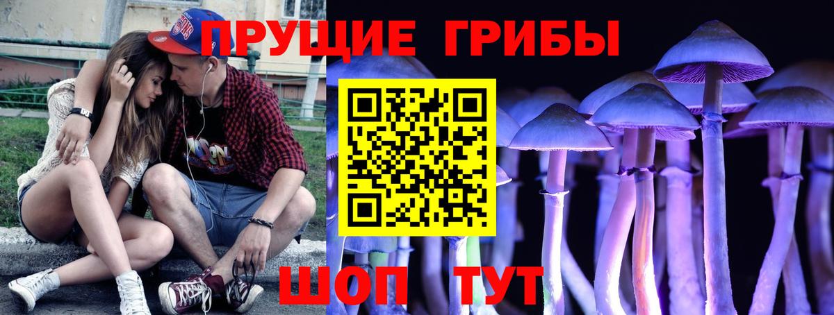 Псилоцибиновые грибы Magic Shrooms  Вход с VPN  Ялуторовск 